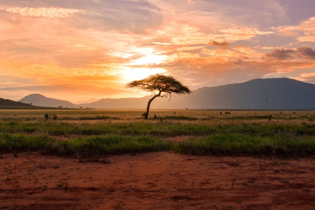 Kenya Taxes for US Expats: A Complete Guide